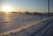 winter wonderland